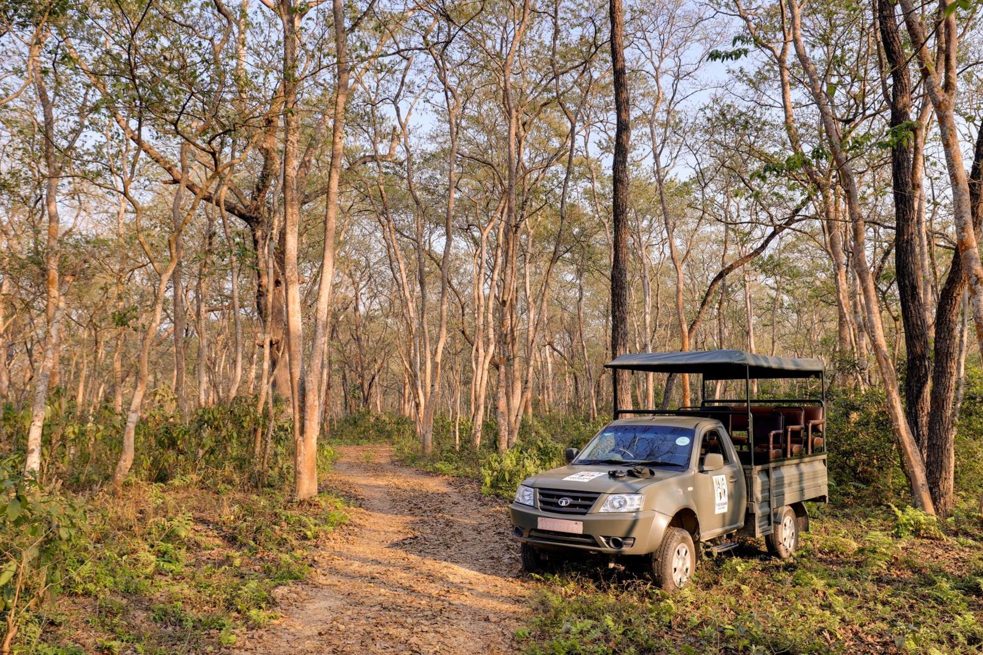 Tigerland Safari - A Lemon Tree Resort, Chitwan, Nepal Patlahara Bagian luar foto